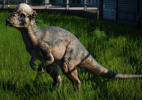 Pachycephalosaurus Jurassic World Evolution Wiki Fandom