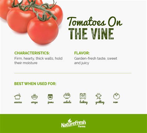 The Complete Guide To Every Type Of Tomato Naturefresh™ Farms