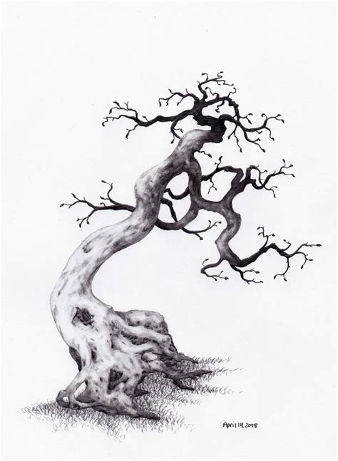 Daily Tree Sketch - April 14,2018 | Tree sketches, Bonsai art, Tree drawing