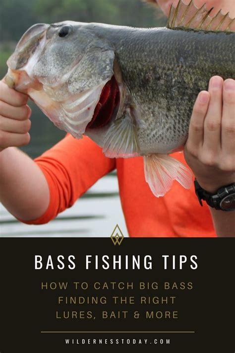 Bass Fishing Tips How To Catch Big Bass Wilderness Today Fishing