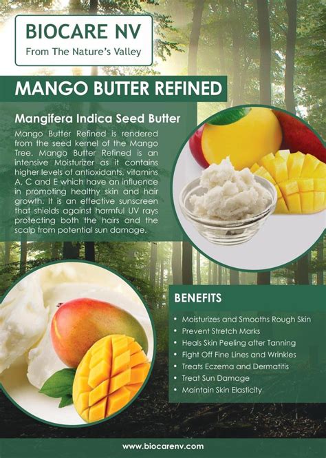 Mango Butter Mango Butter Refined Mangifera Indica Seed Butter My XXX