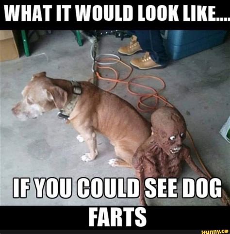 What It Would Look Like If You Could See Dog Farts Ifunny Dog