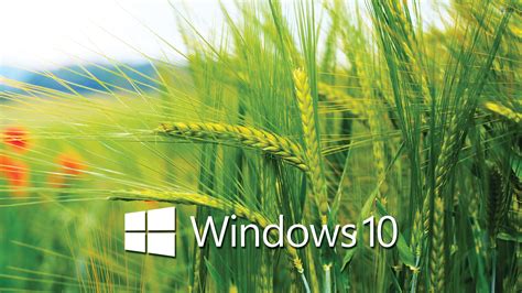 As its name suggests, the product's primary objective is to record anything on your screen. Windows 10 Wallpapers 29 - 2560 x 1440