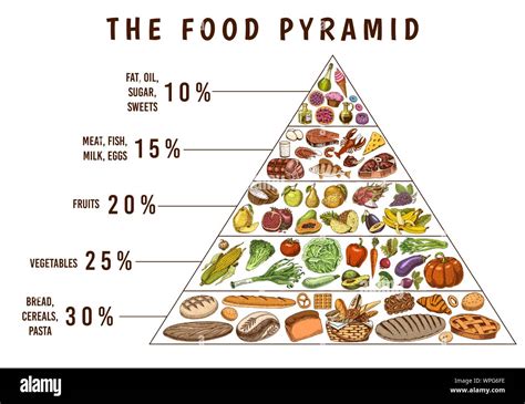 Healthy Food Plan Pyramid Infographics For Balanced Diet Percentage