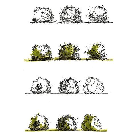 Pin On Landscape Architecture