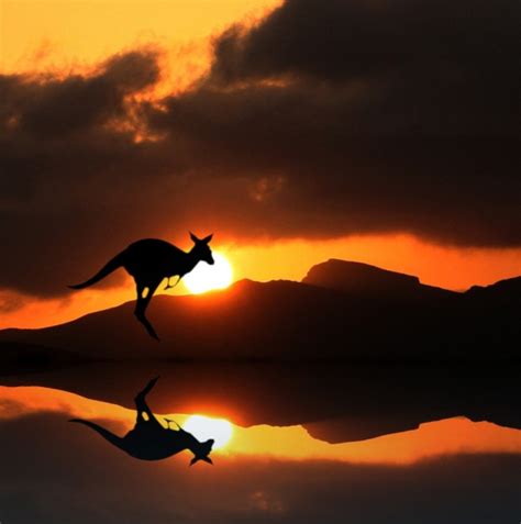 Welcome To Visuallyart Amazing Examples Of Reflection Photography