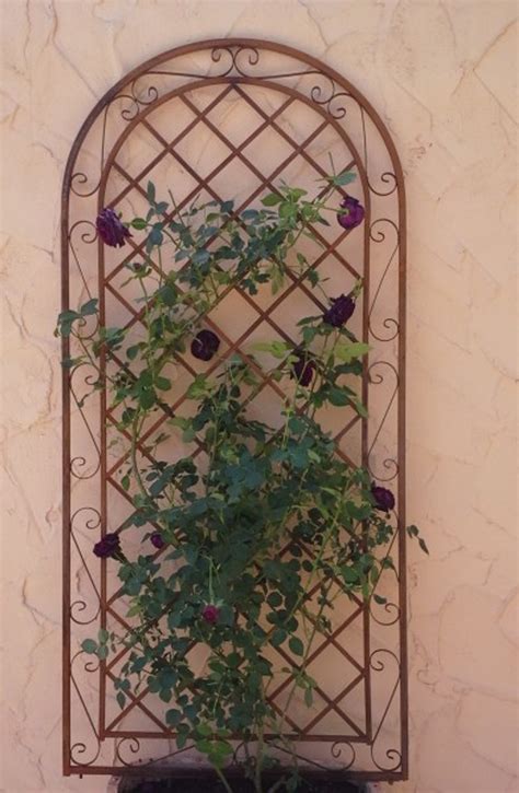 Zudem bietet es den pflanzen . Rankgitter Spalier Wand Rankhilfe Sichtschutz Metall ...