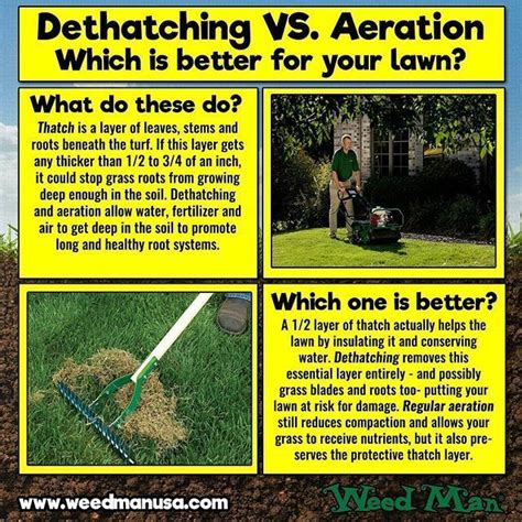 The best and easiest way to deal with grass clippings is by frequent mowing and recycling of the clippings back onto the yard. There's more than one way to dethatch a lawn. But which one is better? #weedmanlawncare # ...