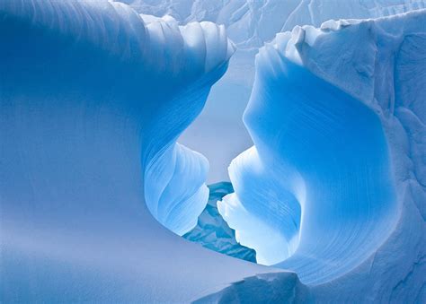 12 Amazing Photos From Freezing Antarctica One Big Photo
