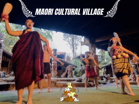 Mitai Maori Village Authentic Maori Cultural Experience Meowtainpeople