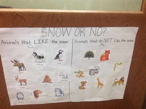 Animals In Winter Lesson Plans For Kindergarten Jean Harrisons