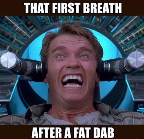 First Breath After Fat Dab Arnold Total Recall Weed Memes