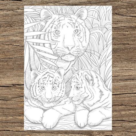 Tigers Printable Adult Coloring Page From Favoreads Coloring Book Pages