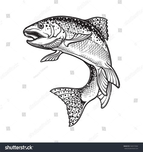 Realistic Intricate Drawing Of The Rainbow Trout Jumping Out Black And