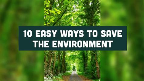 Top 10 Easy Ways To Protect Environment World Environment Day 2020