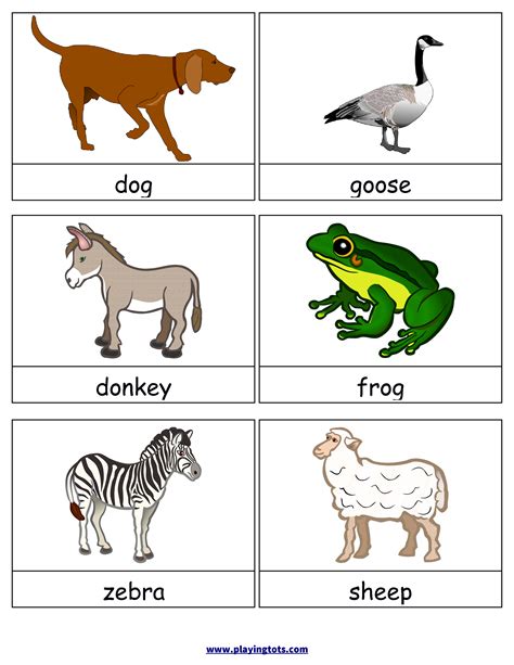 Farm Animals Flashcards Mes English Belive To Me