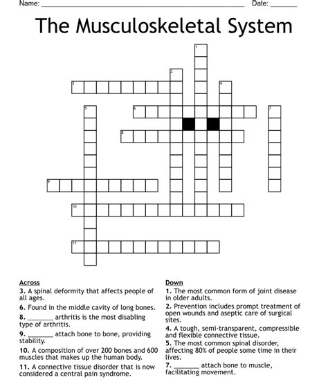 The Musculoskeletal System Crossword Wordmint