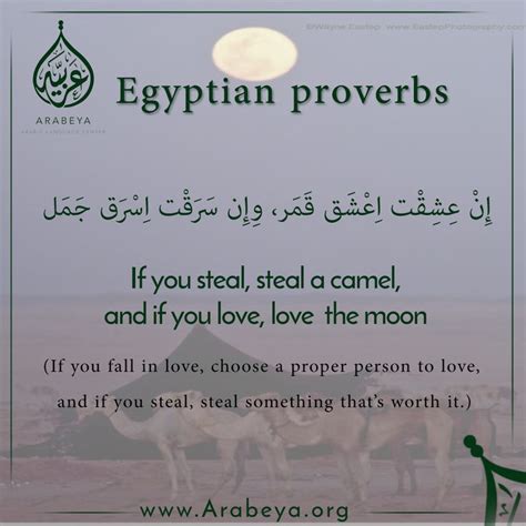 Arabic Phrases Proverbs Egyptian Quote