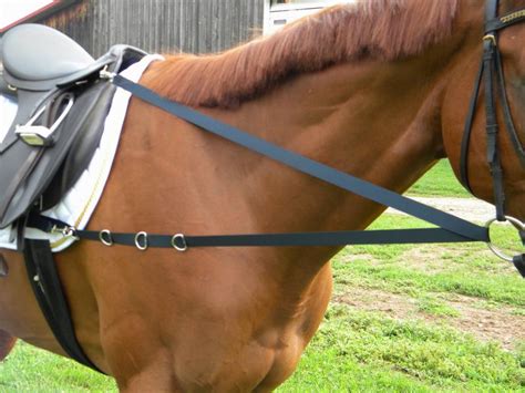 Using Lauffer Or Sliding Side Reins Uk