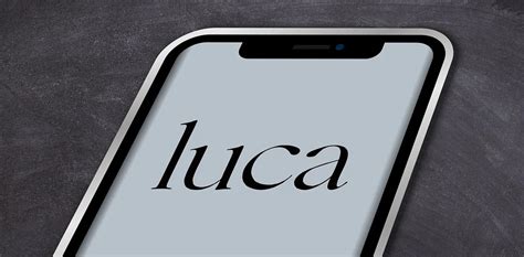 Luca is an online compensation marketing platform for businesses the description of luca app. Sachsen-Anhalt setzt auf die "Luca-App" bei der ...