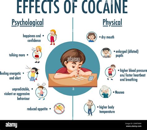 Infographie sur les effets de la cocaïne Image Vectorielle Stock Alamy