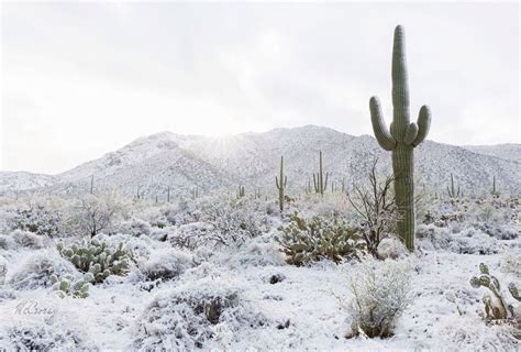Snowy Desert Desert Background Desert Aesthetic Canvas Photo Transfer