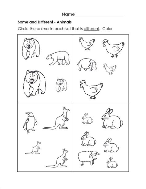 Similarities And Differences Worksheet Kindergarten