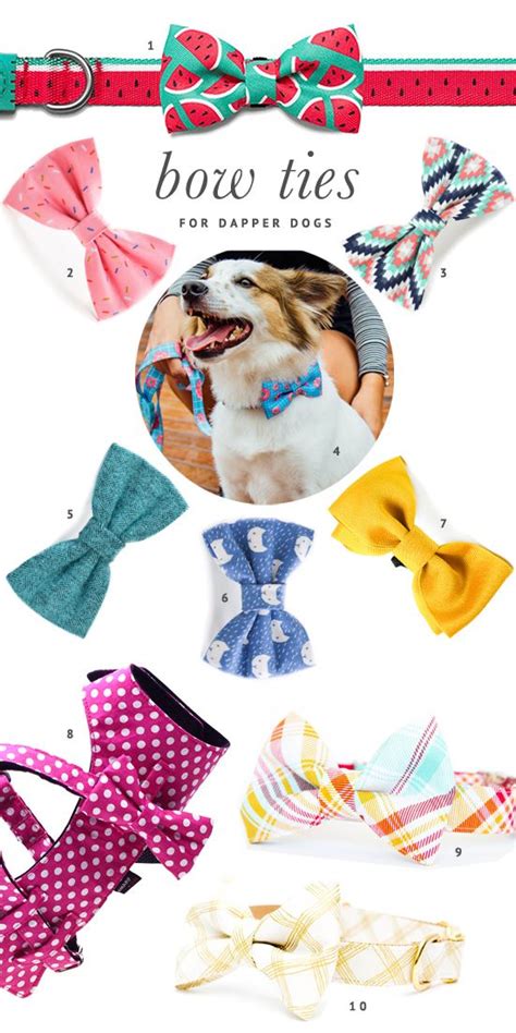 The Best Dog Bow Ties For Every Shape And Size Of Dog Includes