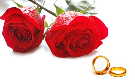 Flowers Roses Red Love Couple Marriage Rings Engagement Golden