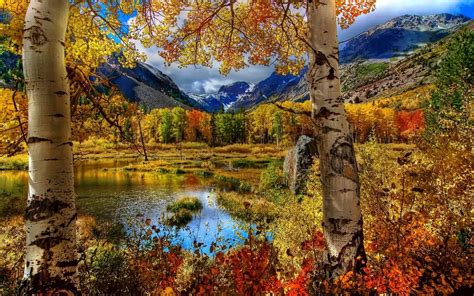 Autumn Splendor Wallpapers Wallpaper Cave