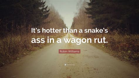 Robin Williams Quote Its Hotter Than A Snakes Ass In A Wagon Rut