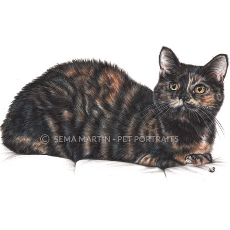 Realistic Colored Pencil Cat Portrait Drawing From Your Photos By Pet