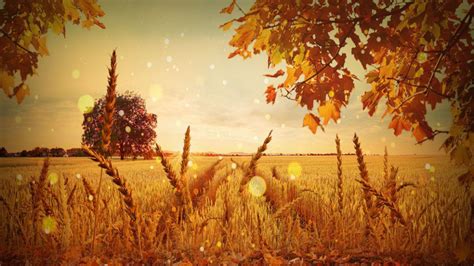 Mabon 2019 September Equinox Date Significance And Celebration Of