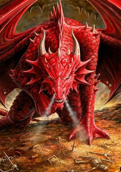 Red Dragon Protects Hoard Pathfinder Pfrpg Dnd Dandd D20 Fantasy