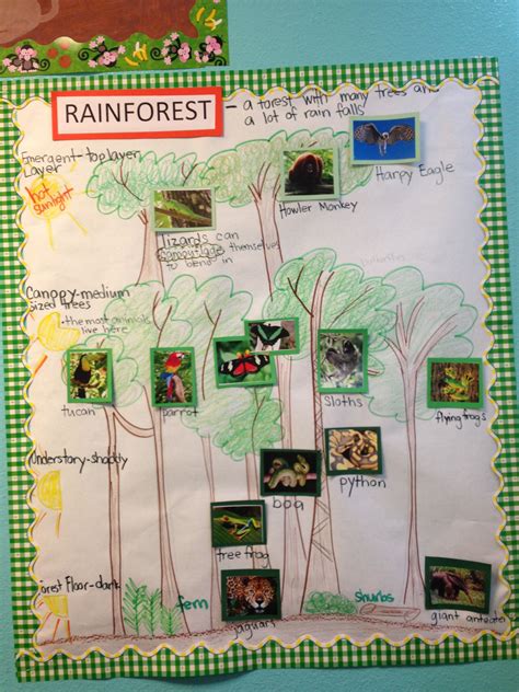 Rainforest Habitat Pictorial Diagram Input This Concept By Glad
