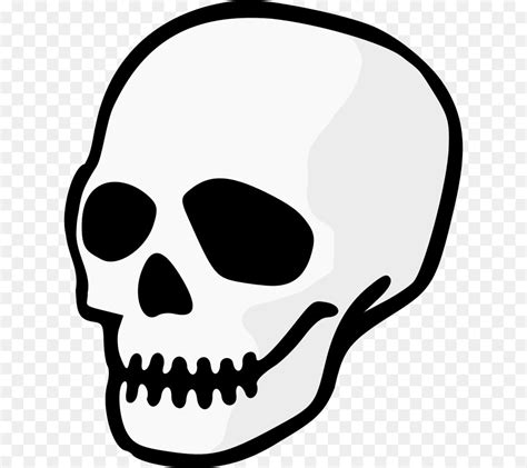 Clipart Human Skull 10 Free Cliparts Download Images On Clipground 2024