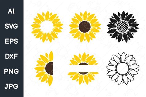 Sunflower svg , Sunflower silhouette , Half sunflower svg (1250149