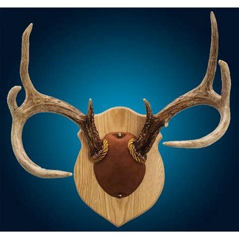 Deer antler decor deer horns deer wall mount mounting deer antlers diy pig hunting deer antler crafts hunting cabin decor. Solid Oak Antler Mount Kit | Walnut Hollow - Country
