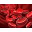 Anemia In The Older Adult 10 Common Causes & What To Ask