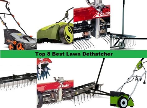 8 Best Lawn Dethatcher Reviews For 2023 Recommended Back Yard Growing
