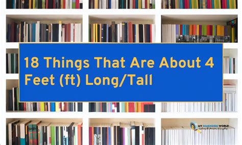 18 Things That Are About 4 Feet Ft Longtall