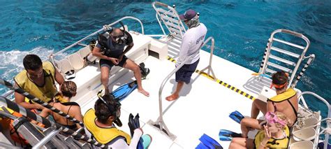 Isla Cozumel Day Pass Three Reef Snorkel Tour