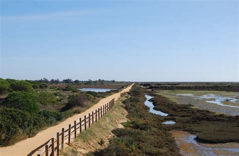 Walkway Through Beautiful Ria Formosa Natural Park The Colour Changes