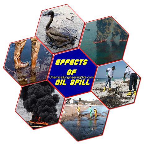 Oil Spills Effects