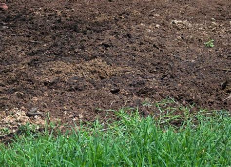 When added to the soil, it increases the capacity for retention of plant nutrients and beneficial soil microbes by reducing the leaching of those essentials into ground water. 5 Ways To Enrich Garden Soil - Australian Handyman Magazine