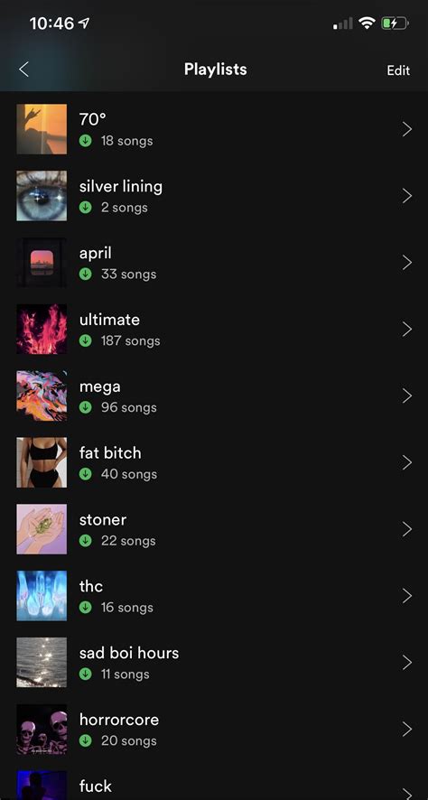 Aesthetic Cool Spotify Playlist Names