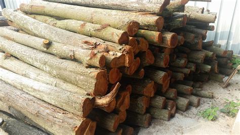 Pengkelasan struktur pengkelasan yang berpandukan kepada kebolehan kayu menghadapi tekanan yang disebabkan oleh. Kayu Warisan Malaysia: Stock Stock Kayu