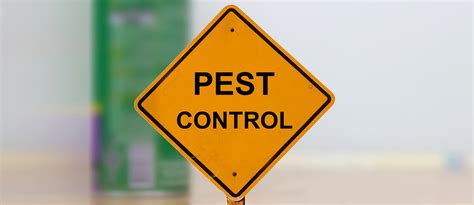 Different Pest Control Methods For Your Home The Total Group Nt