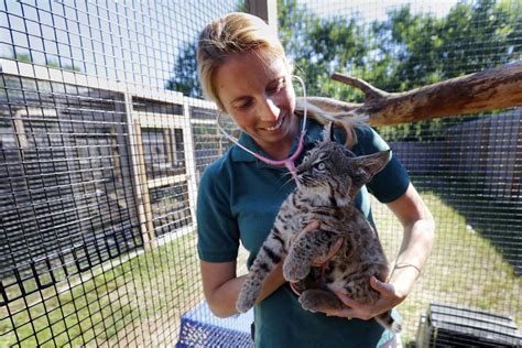 Check spelling or type a new query. 'A dream come true': Buttonwood Park Zoo's new vet is ...