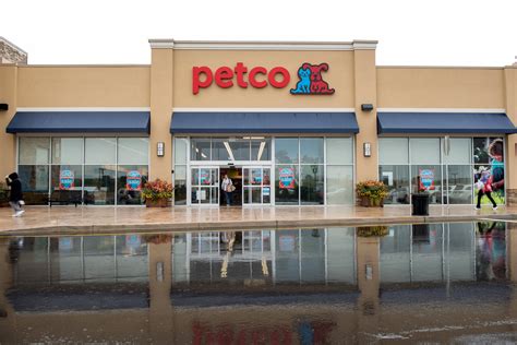 Pet Care Retailer Petco Shares Surge More Than 60 As It Returns To